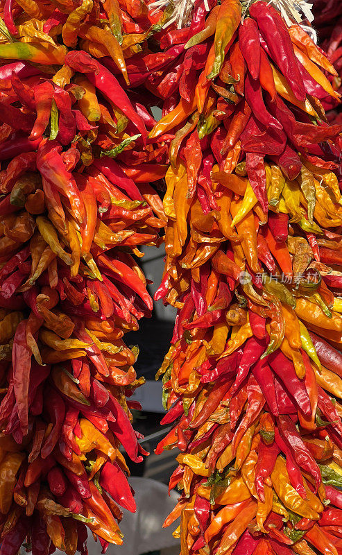 IMG_1706 Ristras，红辣椒